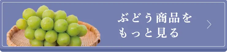 ぶどう商品をもっとみる