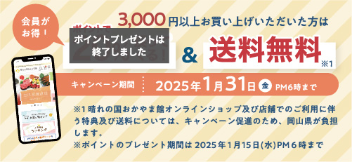 送料無料！20%ポイント戻ってくる！